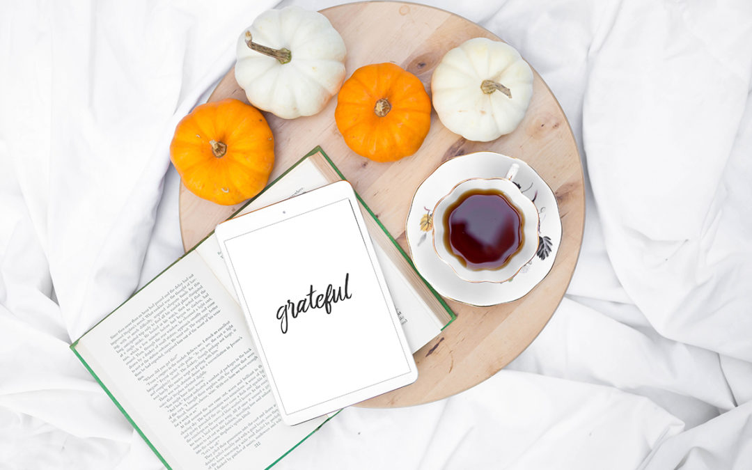 Thanksgiving ideas: How to give back as a family this Thanksgiving season