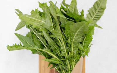 Toronto nutritionist: Delightfully fun facts about dandelion and why you should eat it